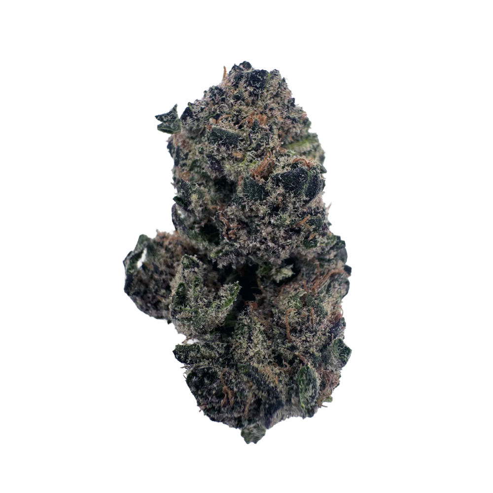 Blueberry Muffins