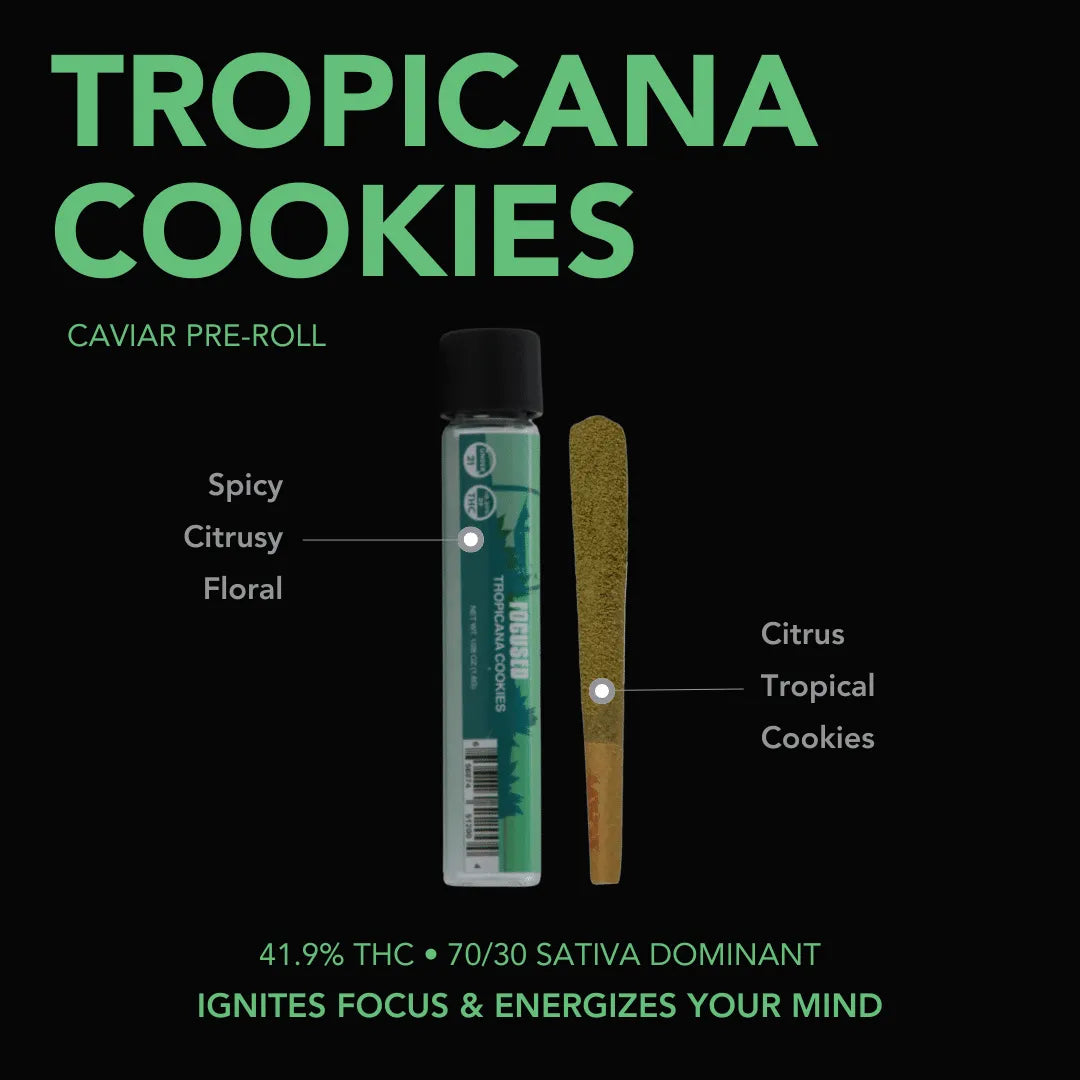 Caviar Pre-rolls: Tropicana Cookies