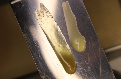 What Are Terpenes and Why Do They Matter?