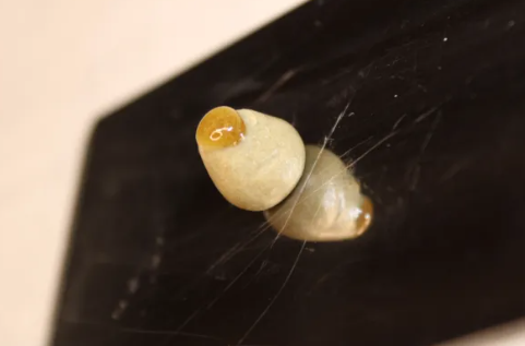 Understanding "Full-Melt" Hash