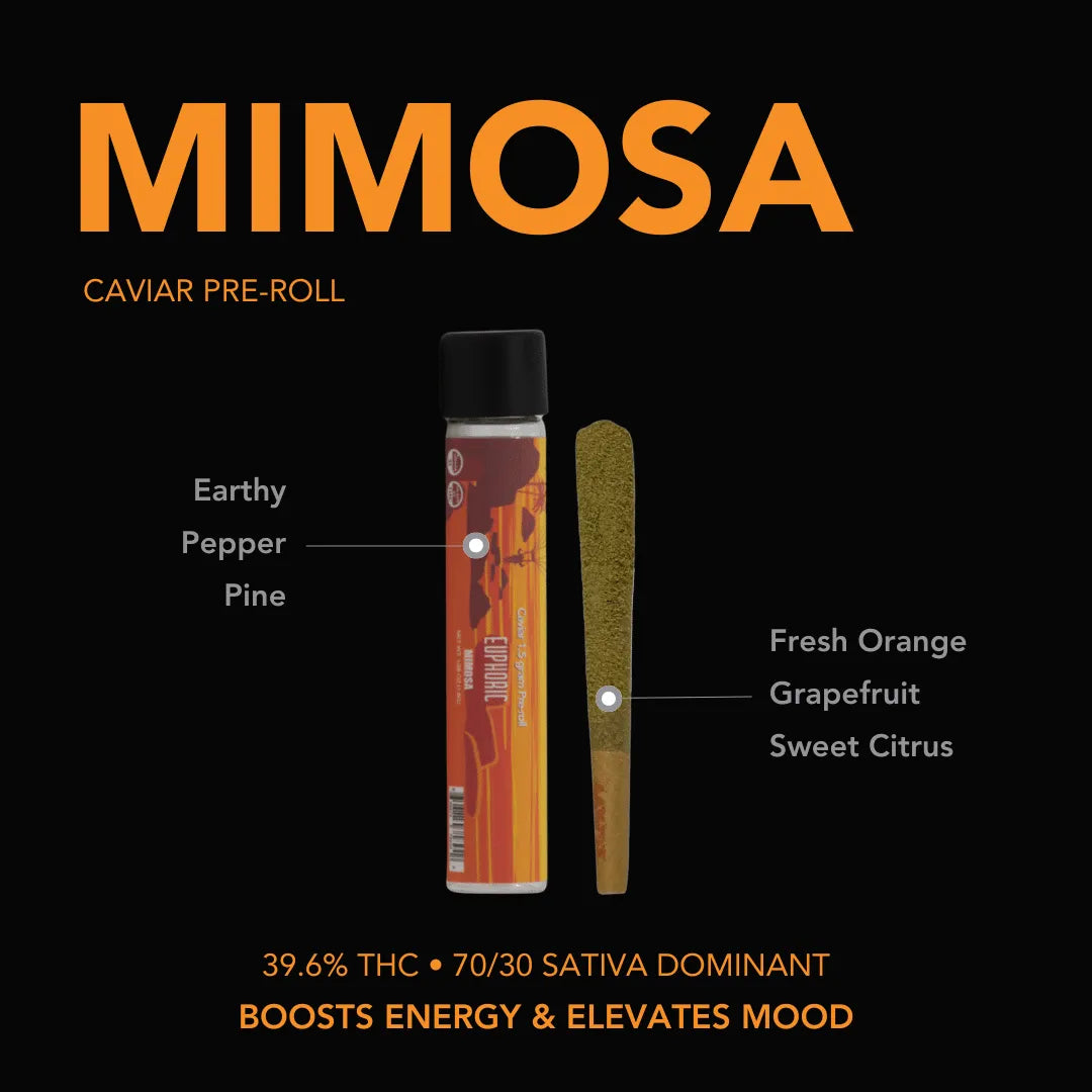 Caviar Pre-rolls: Mimosa