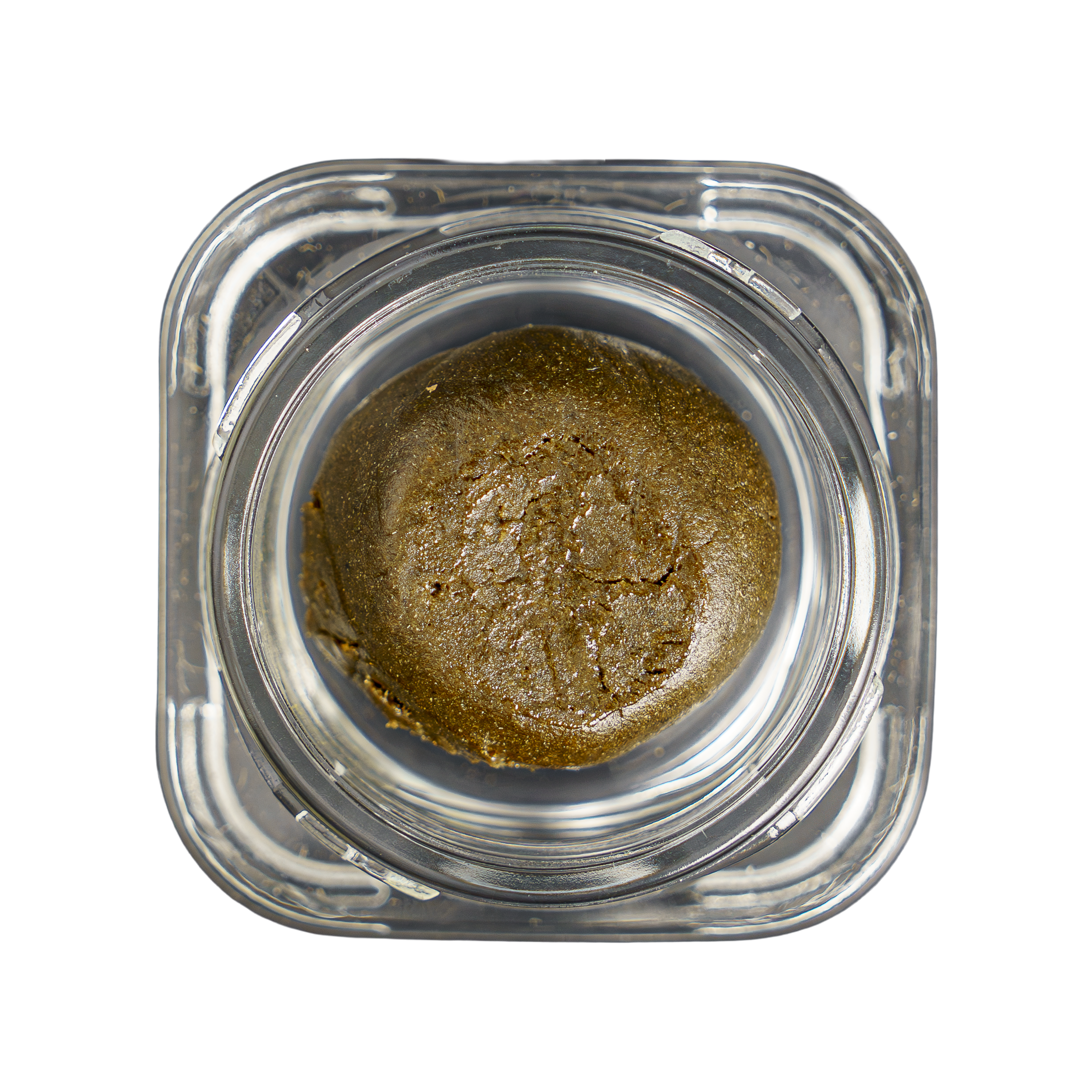 Temple Ball Hash: G41 – Paradise