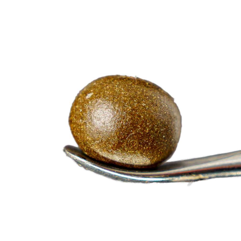 Temple Ball Hash: G41
