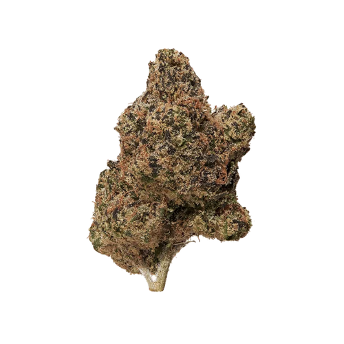 White Truffle