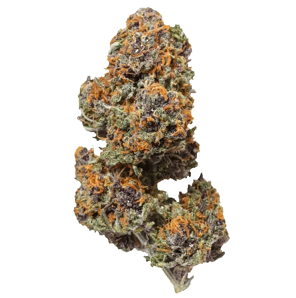 Pluto Kush
