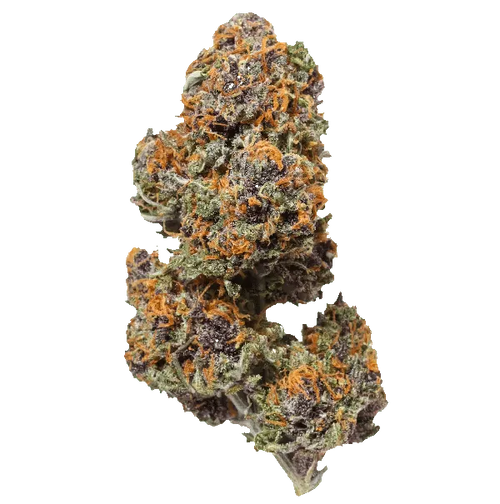 Pluto Kush
